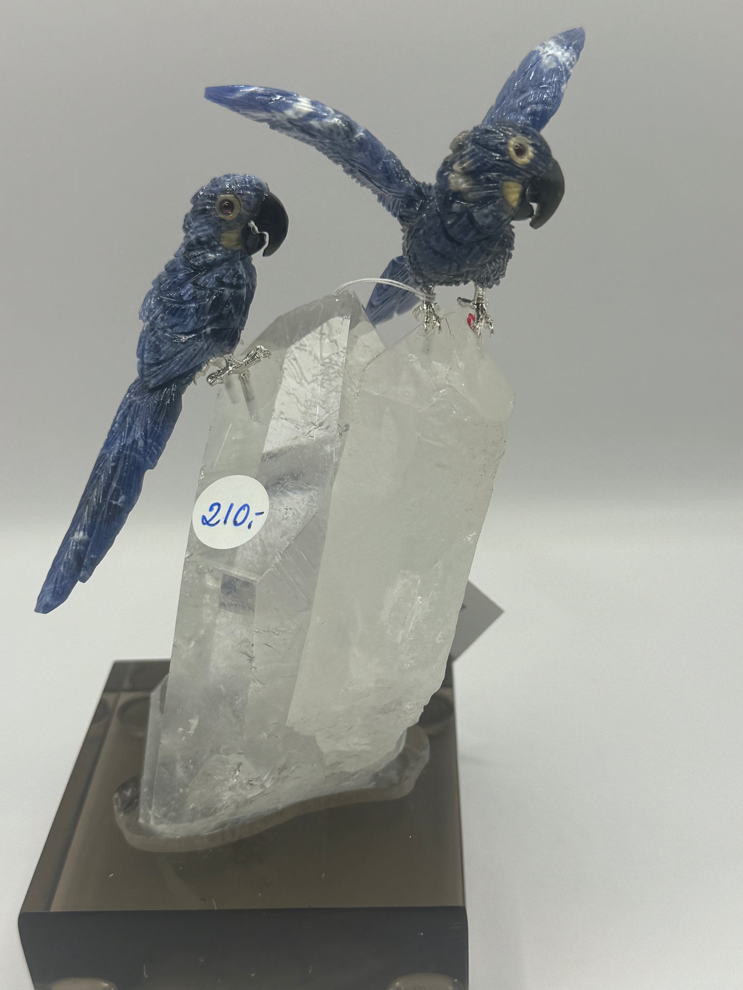Sodalite Macaw Couple On Clear Quartz Home Decor
