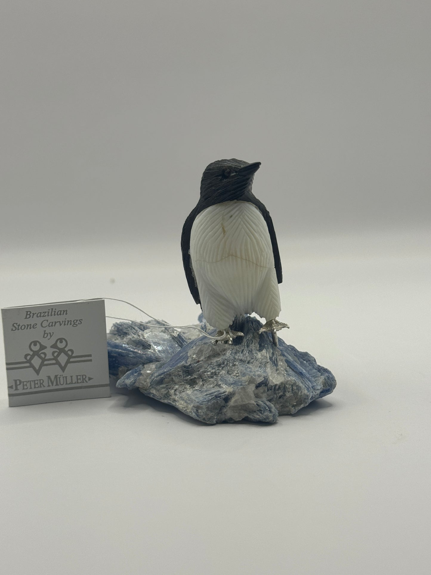 Mini Obsidian Penguin On Blue Kyanite Crystal Quartz Home Decor