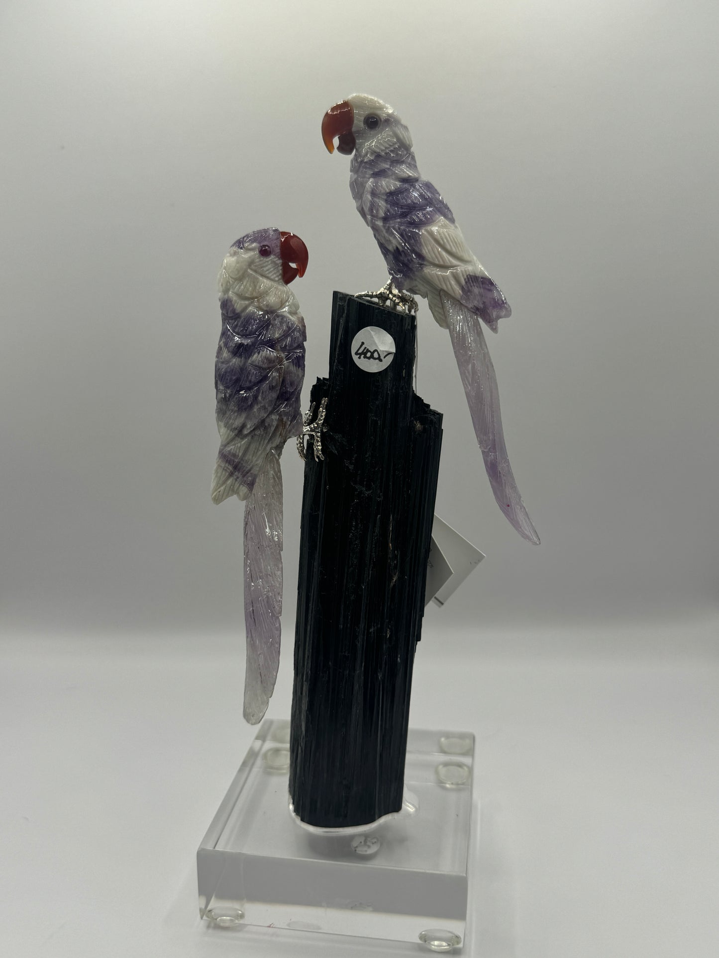 Chevron Amethyst Macaws On Black Tourmaline Home Decor