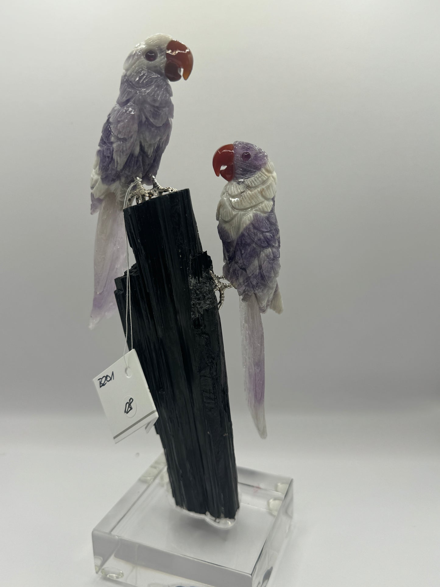 Chevron Amethyst Macaws On Black Tourmaline Home Decor