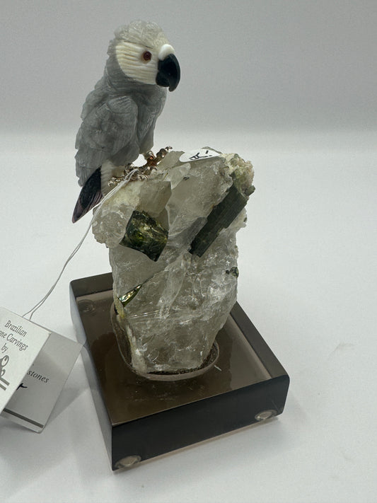 Small African Grey Parrot On Phantom Quartz Home Decor