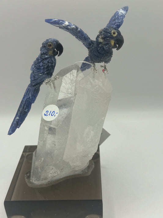 Sodalite Macaw Couple On Clear Quartz Home Decor