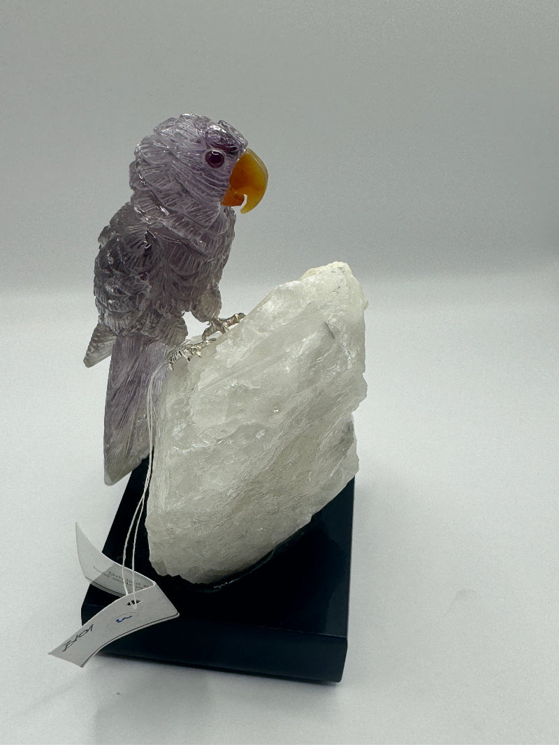 Amethyst Macaw On Quartz Crystal Cluster with Green Fluorite Home Decor